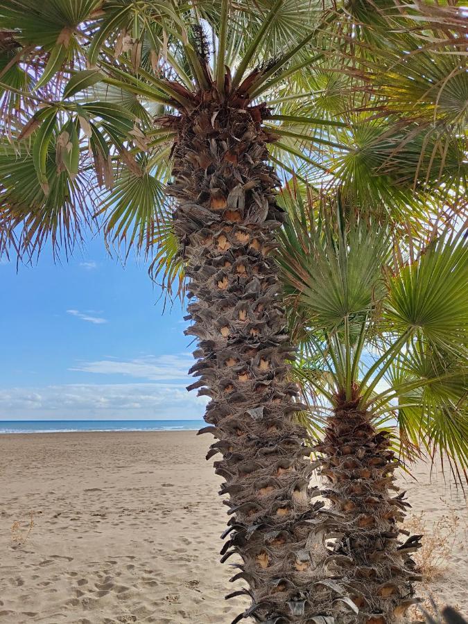 100 Metros De La Playa Apartment Puerto de Sagunto Ngoại thất bức ảnh